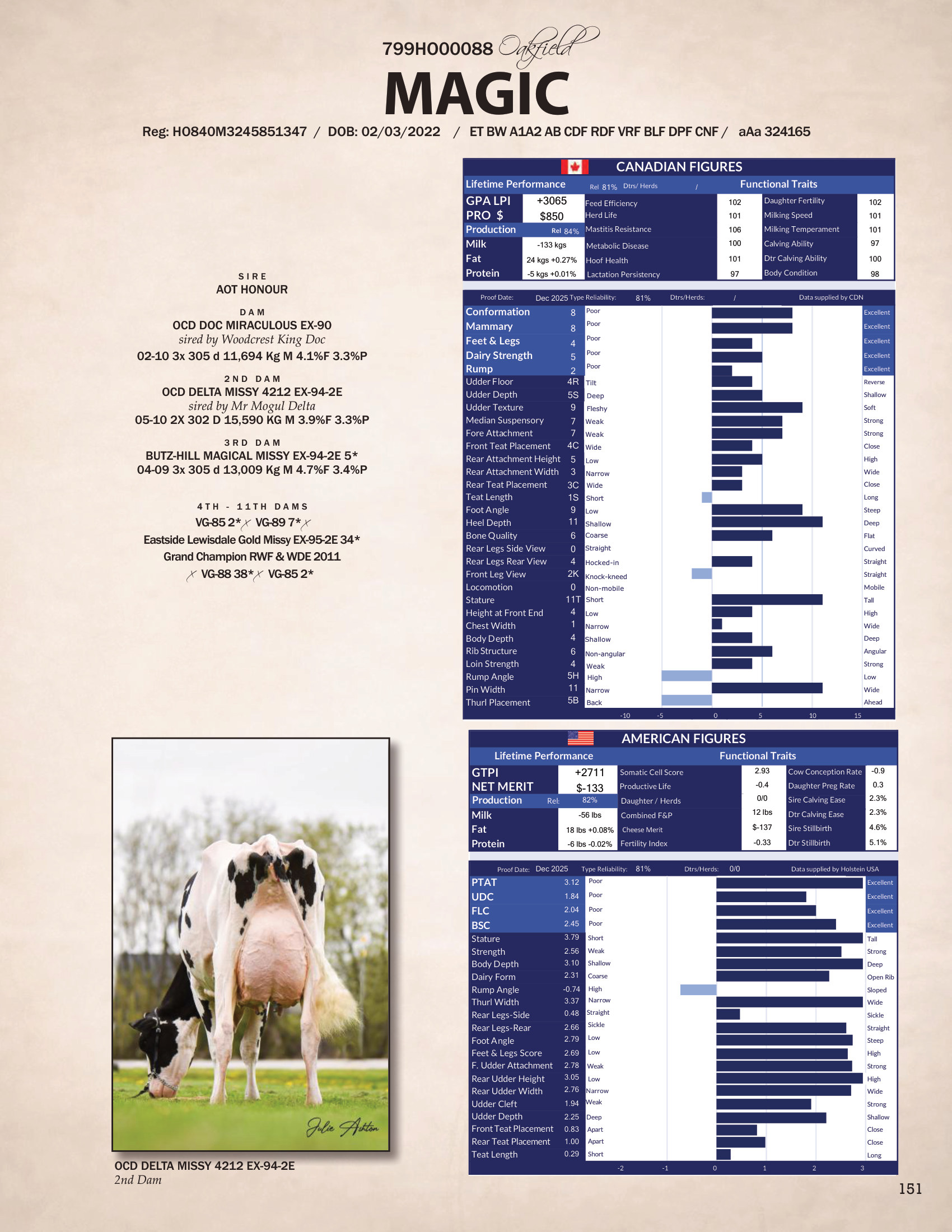 MAGIC — 799HO00088